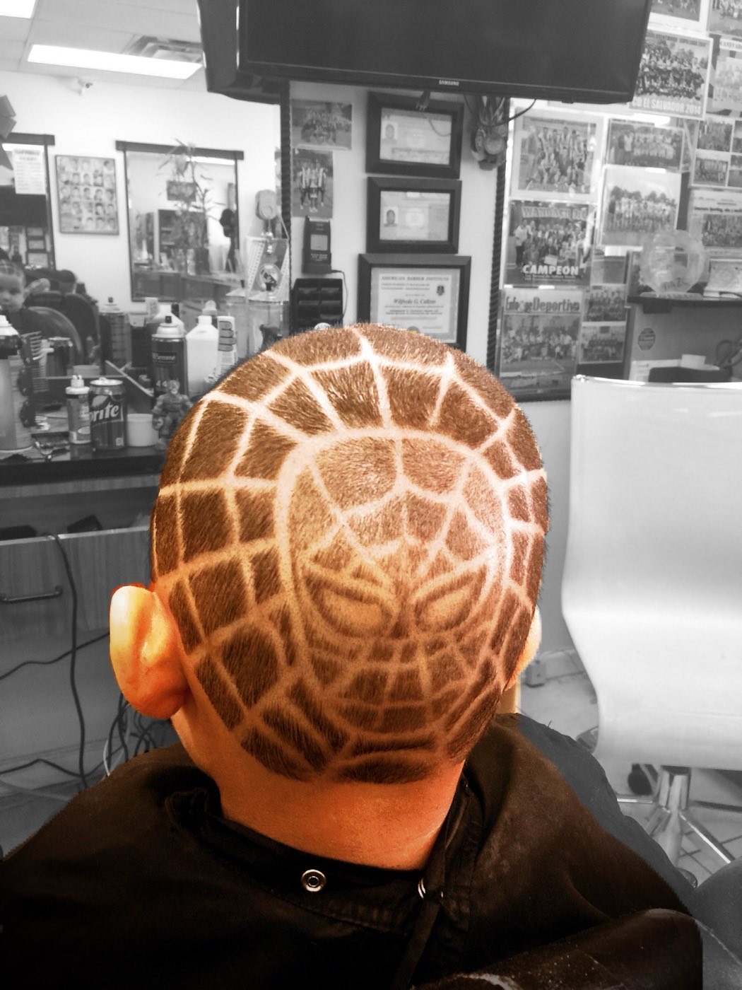 CANEVARO BARBERSHOP in Bay Shore, New York