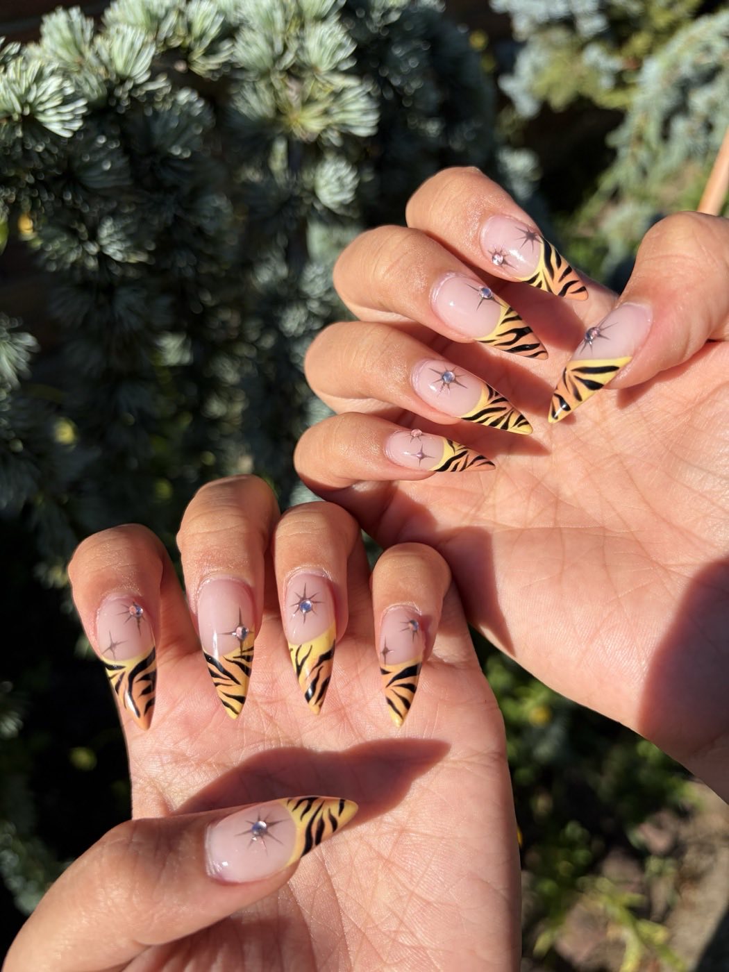 Elegant Nails & Spa in Bay Shore, New York